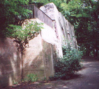 Remains