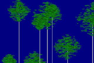 Pinetree.jpg