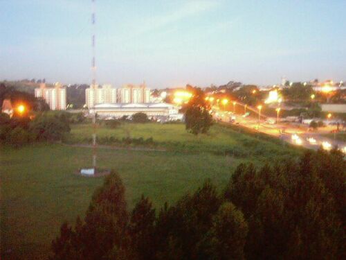 Goodsight