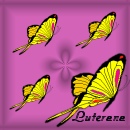 My Square