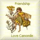 Camomile