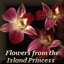 Island Princess