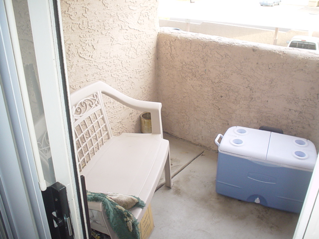 Patio view