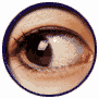 Image of asp134.gif