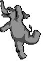 Image of elephnts.gif