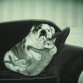 Image of oddcouple.jpg