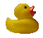 Image of rubberducky.gif