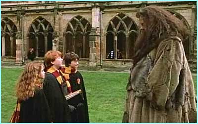 Asking Hagrid about the Chamber