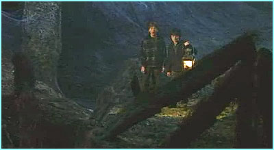 Ron and Harry in the Forest-umm guys..thats not a tree..