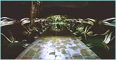 Harry in Chamber