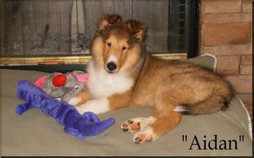 Marnus Mesmerizing