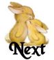 Next