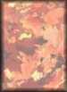 Autumn&nbsp;Leaves