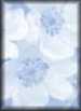 Blue&nbsp;Dogwood