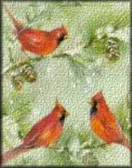 Cardinal