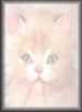 Cat&nbsp;Face