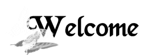 Welcome