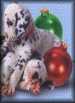 Christmas&nbsp;Puppies