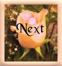 Next