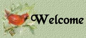 Welcome