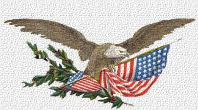 Eagle&nbsp;And&nbps;Flag