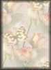 Roses&nbsp;And&nbsp;Butterflies