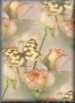 Roses&nbsp;And&nbsp;Butterflies