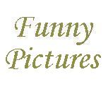 click to go to Funny Pictures