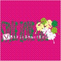 STYLE ZONE GIRL CLOTHING