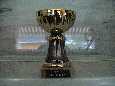 Lincoln best in show (22KB)