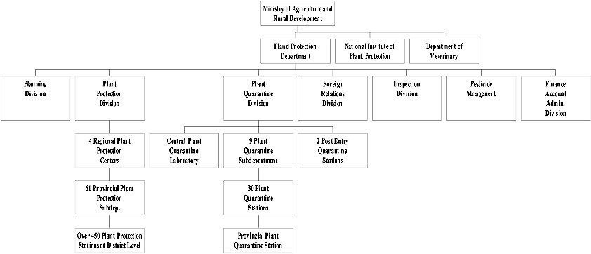 organisation.jpg (46130 bytes)