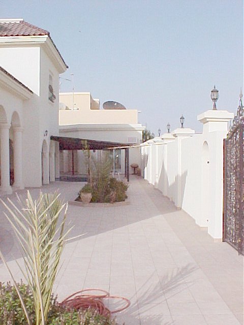 Side yard view toward the pool area