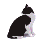 cat 15.gif (3322 bytes)