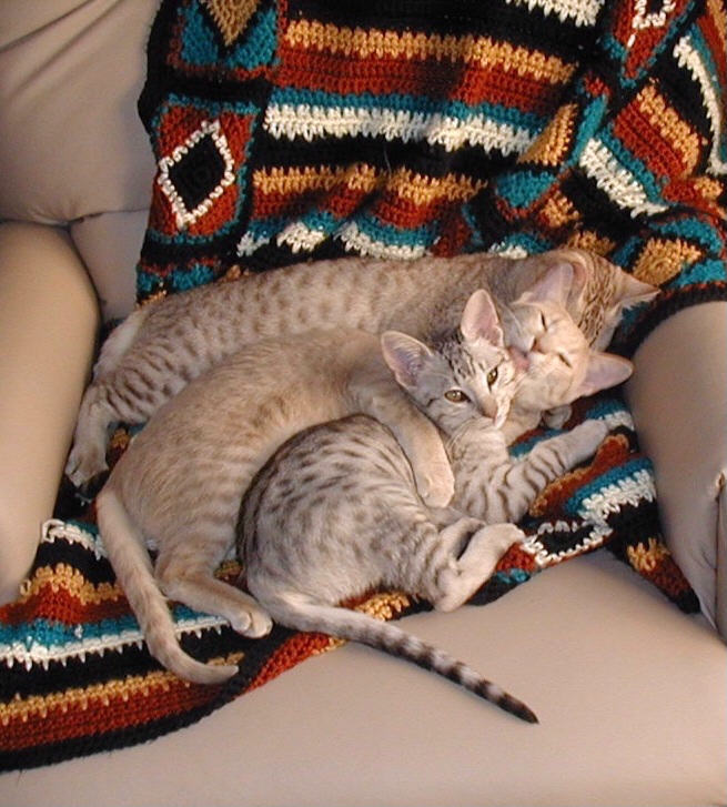 Pooh Tigger & Bubba