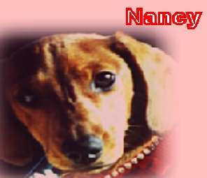 nancy layered