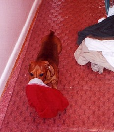 red undies