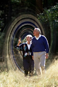 adjusted