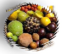 fruit