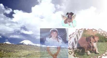 heather