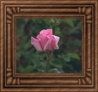 frame