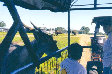 lwczoo19.JPG