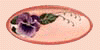 pansyblnkbtn01.gif (4273 bytes)