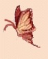 pansybtterflycutout01.gif (3616 bytes)