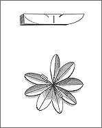 Diagram of how to cut the paper
