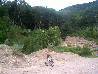 dcp01185.jpg
 (95.9k)