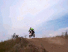 trekki1.jpg
 (10.3k)