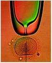 invitro fertilization clinic