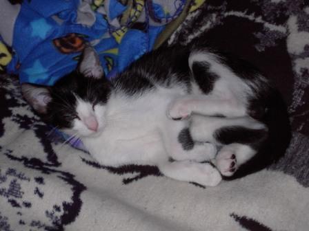 Baby8