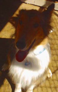 Click here to go to Coty's page