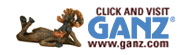 GANZ Associate Program 